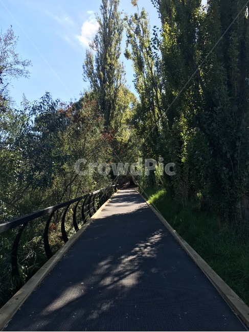 공원,길,나무,그늘,여름,park,path,course,tree,shadow,summer,자연,풍경,nature,landscape