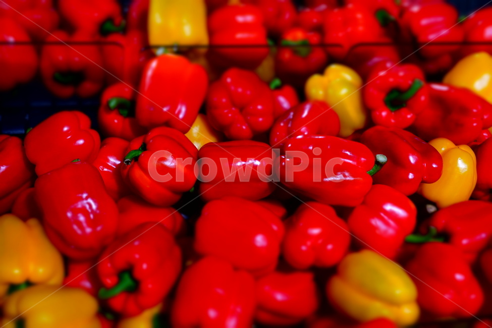 파프리카,빨간,레드,노란,채소,피망,음식,식재료,요리,food,cook,meal,dishes,food reserves,채소,야채,vegetables