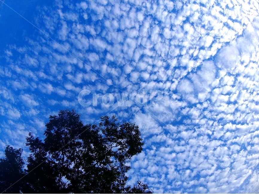 가을하늘,하늘,가을,구름,뭉게구름,자연,풍경,nature,landscape,outdoors,옥외,azure sky,푸른 하늘,sky