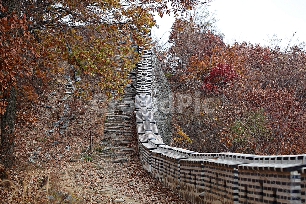 남한산성,성,성곽,단풍,낙엽,길,둘레길,숲,숲길,담,돌담,가을,자연,풍경,벽,울긋불긋,산성,식물,가을,계절,fall,autumn,season,ground,바닥,tree,나무,plant