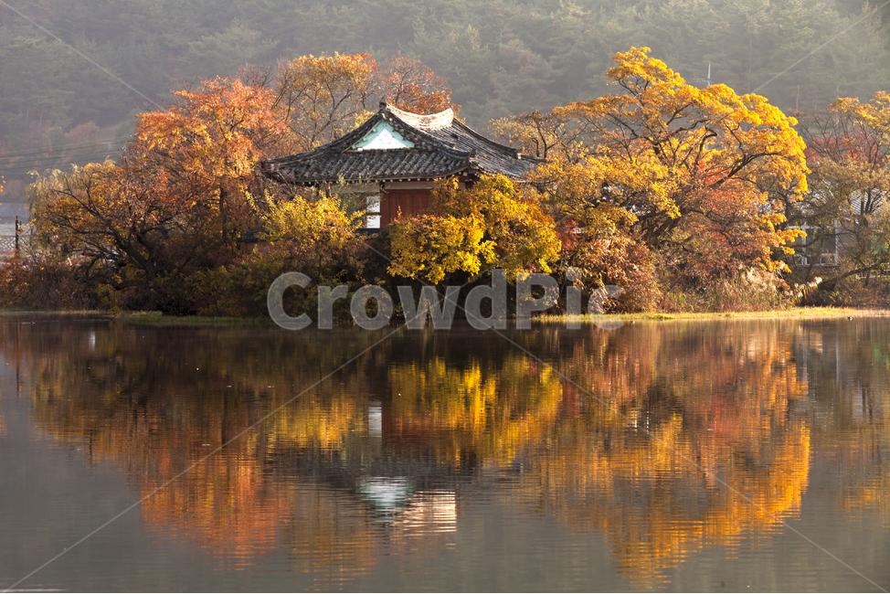 밀양,위양지,단풍,반영,가을,가을,계절,fall,autumn,season,한국자연풍경,한국자연경관,korea nature landscape