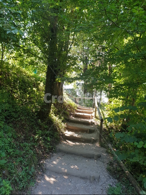 계곡,협곡,슬로베니아,빈트가르,gorge,valley,vintgar,빛,숲,햇빛,나무,자연,풍경,경관,landscape,path,오솔길,숲길,자연,풍경,nature,landscape,garden,정원,outdoors,옥외,arbour,정자