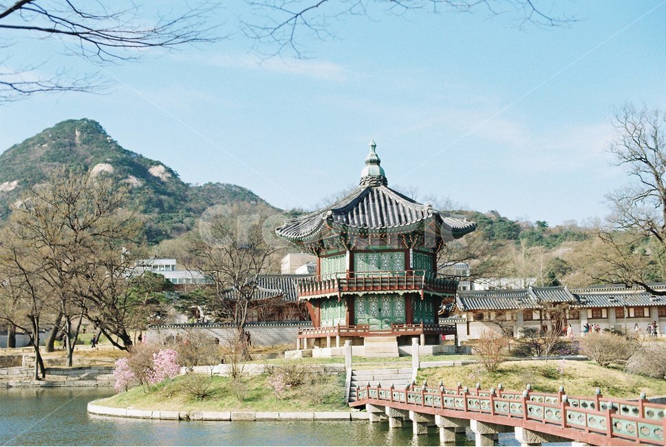 궁,봄,한국,필름카메라,fm2,하늘,맑은하늘,자연,풍경,nature,landscape,한국전통,한국문화,korean traditional,korean culture,랜드마크,landmark,tourist attraction,한국랜드마크,한국관광지,한국명소,korea landmark,korea tourist attraction,architecture,건축물,building,건물