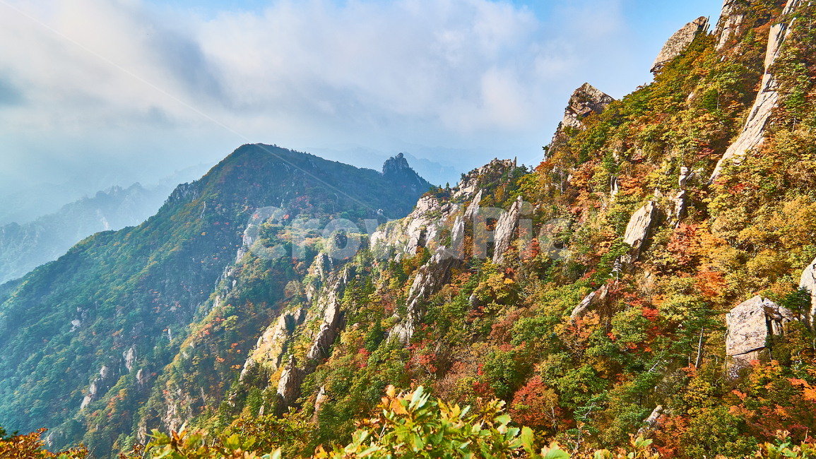 설악산,국립공원,단풍,서북능선,산,가을,계절,fall,autumn,season,자연,풍경,nature,landscape,한국자연풍경,한국자연경관,korea nature landscape,mountain range,산맥,outdoors,옥외,mountain