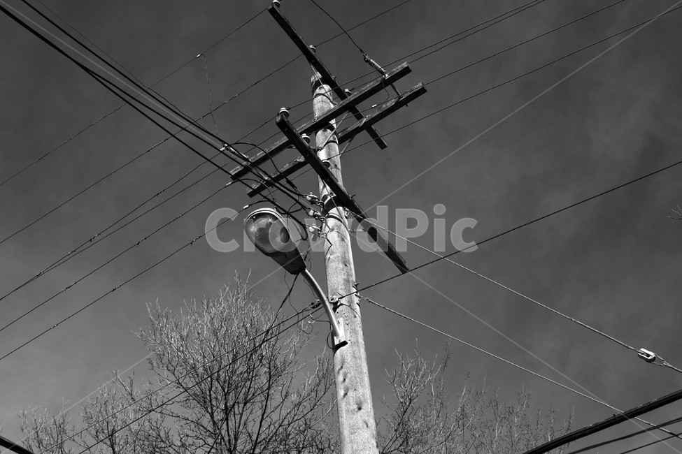 전신주,utilitypole,크로스,가로등,흑백사진,흑백,모노톤,monochrome,black and white