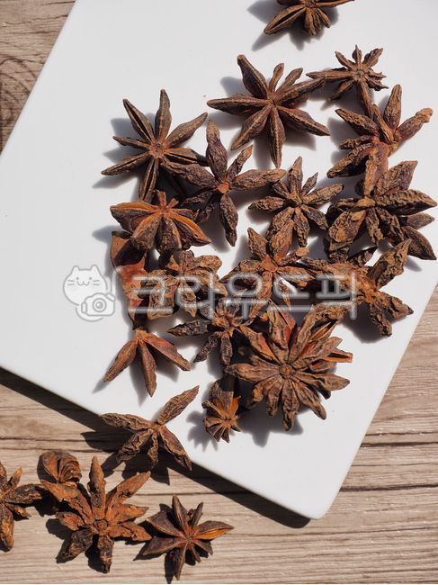 스타아니스홀,향신료,팔각,팔각향,별모양,아니스,인도음식,향기,음식,유기농,요리,요리재료,갈색,중국음식,아시아음식,건조식품,식물,향료,staranisehall,spice,octagon,octagonal,starshape,anise,indianfood,scent,food,organic,cooking,cookingingredients,brown,chinesefood,asianfood,dryfood,plant,spices