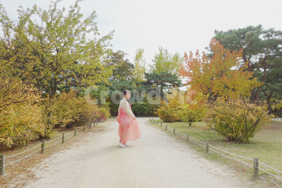 한복,사람,경복궁,전통의상,감성사진,여자,분홍,분홍색,소녀,색감,궁,girl,woman,가을,계절,fall,autumn,season,자연,풍경,nature,landscape,한국전통,한국문화,korean traditional,korean culture,사람,인물,인간,human,person,여성,여자,woman,female,lady,감성,sensible,feeling,tree,나무,plant,식물