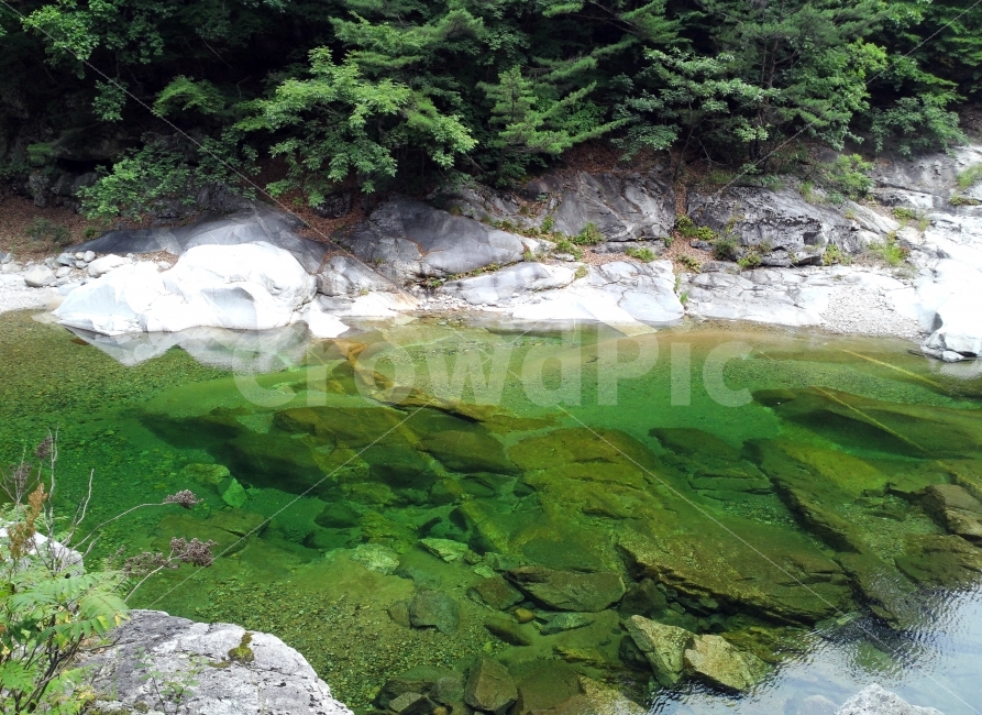 백담사가는길,백담계곡,맑은계곡,청정계곡,푸른물,자연,풍경,nature,landscape,plant,식물,algae,조류