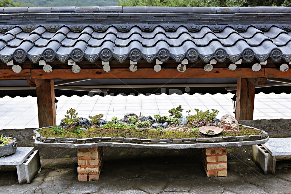 화분,식물,흙,자연,풍경,식물,자연,plants,nature
