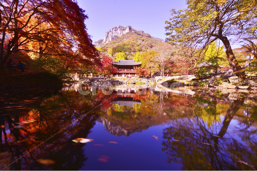 장성,백양사,연못,백양사가을,백양사추색,백암산,반영,쌍계루,water,물,nature,자연,outdoors,옥외