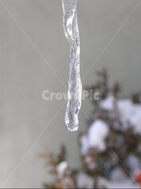 nature,자연,ice,빙,snow,눈,winter,겨울,고드름
