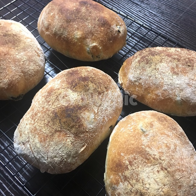bread,빵,food,베이킹,홈베이킹,치아바타,빵,bread