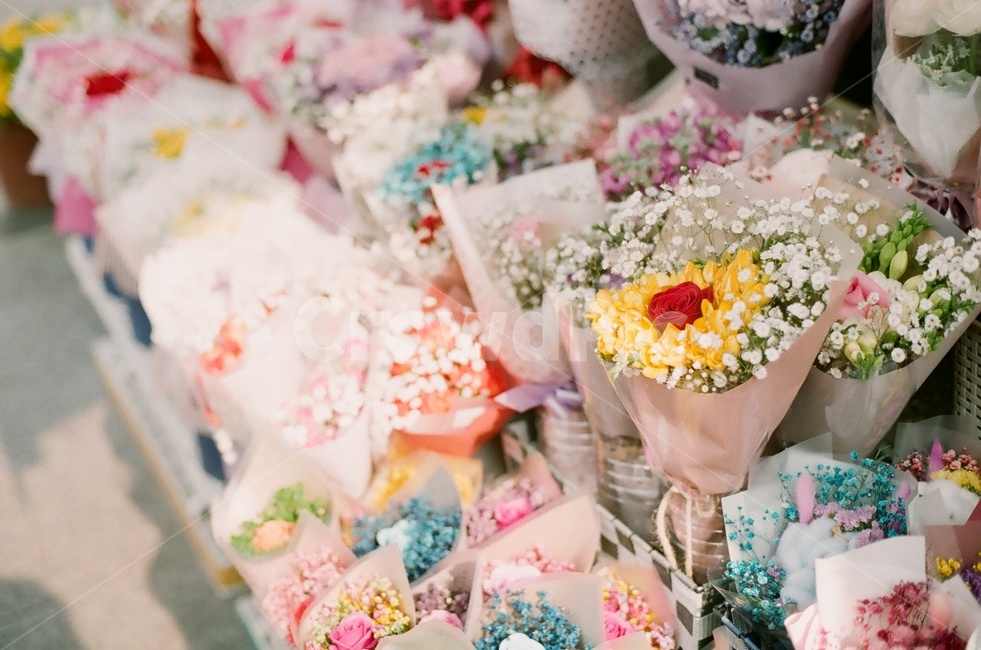 꽃,꽃다발,flower,꽃집,봄꽃,꽃선물,연애감성,꽃,flower,기념일,축하,anniversary,congratulation,celebrate,celebration,감성,sensible,feeling