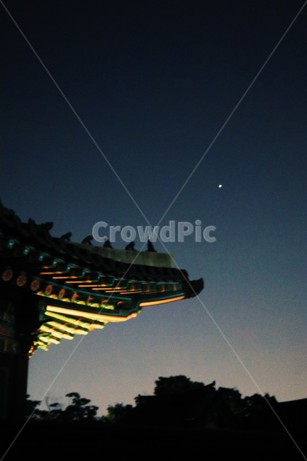 창덕궁,야경,밤,저녁,건축,전통,야경,밤,풍경,nightscape,night,landscape,한국전통,한국문화,korean traditional,korean culture,랜드마크,landmark,tourist attraction,한국랜드마크,한국관광지,한국명소,korea landmark,korea tourist attraction,건축물,건물외관,exterior,building,structure,architecture,construction,건물