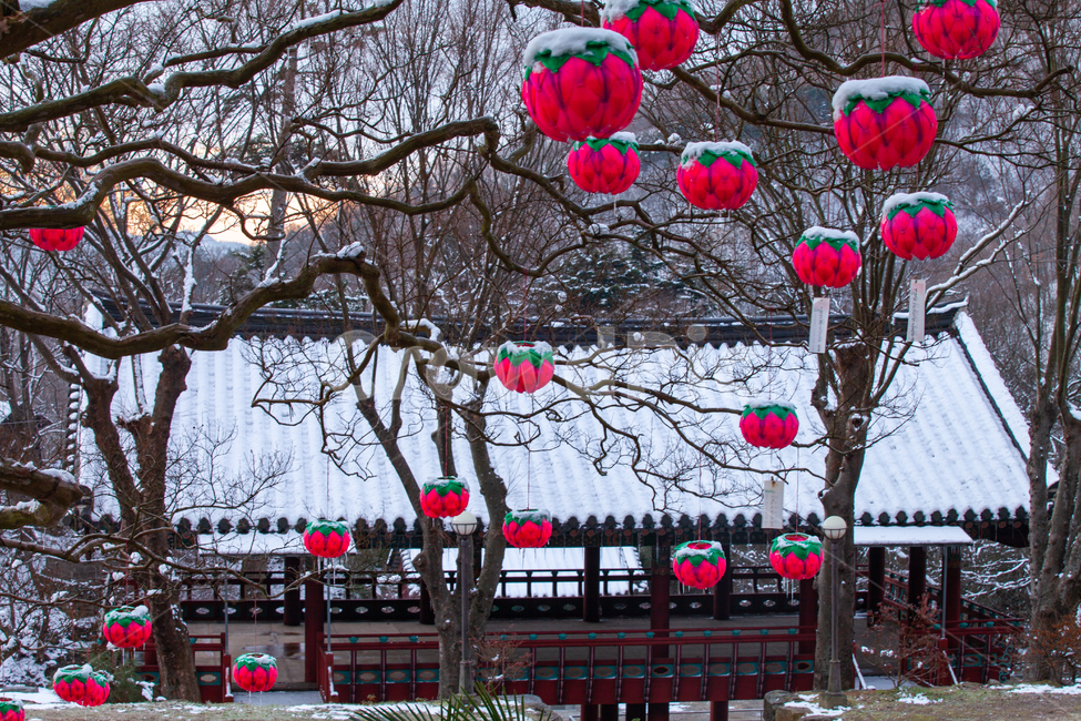 사찰,연등,절,눈,종교,한국전통,한국문화,겨울풍경,겨울,계절,winter,season,한국전통,한국문화,korean traditional,korean culture,종교,신앙,religion,belief,faith,건축물,건물외관,exterior,building,structure,architecture,construction