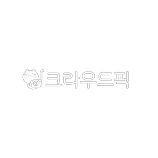 Lace,border,white,floral,frame,lace frame,lace border,lace decoration,lace illustration,illustration,background decoration,border decoration,border illustration,label,picture frame,notepad,notice,event,event,bulletin board,background,