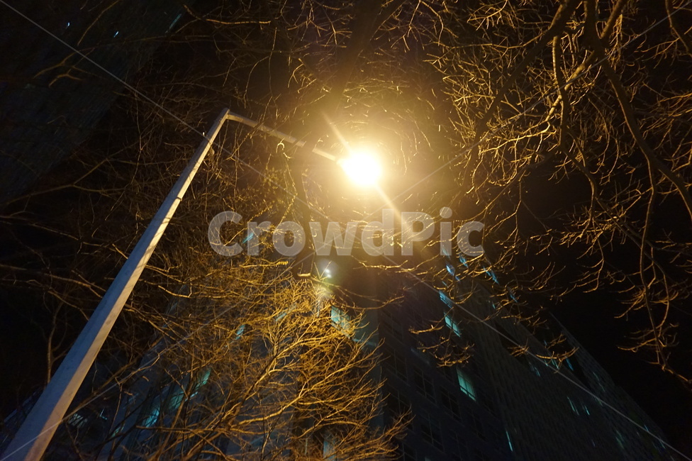 가로등아래,저녁퇴근,산책로,저녁길,밤길,야경,밤,풍경,nightscape,night,landscape,flare,플레어,light,빛