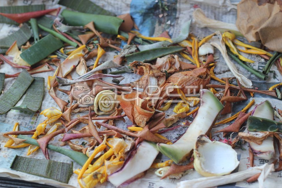 Food waste,newspaper,environment,dry,prog,food processing,food,trash