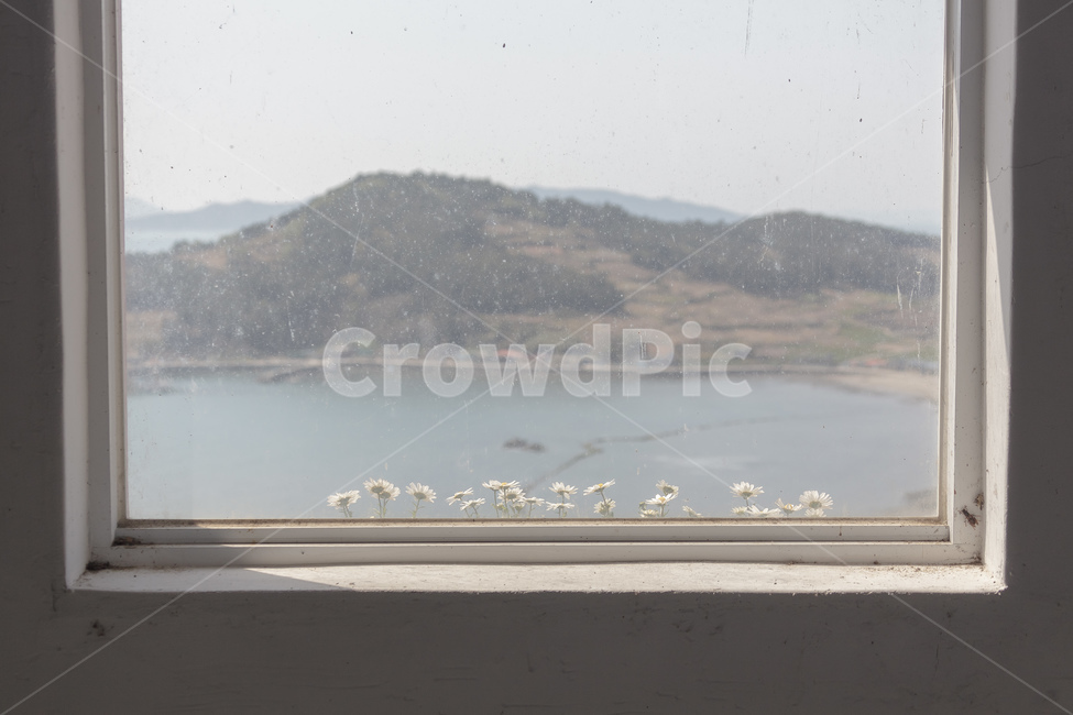 창문과꽃,창,꽃,바닷가,창문,섬