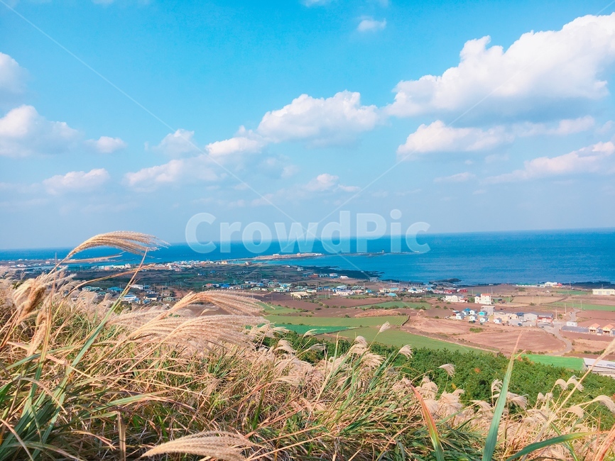 자연,nature,풍경,scenery,경치,landscape,옥외,outdoors,하늘,sky,바다,sea,갈대