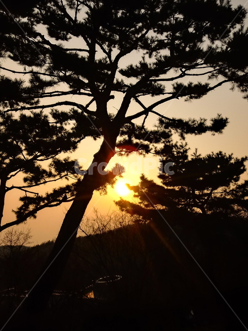 일몰,햇빛,석양,자연,옥외,빛,outdoors,nature,light,sunlight,붉은하늘,황혼,sunset