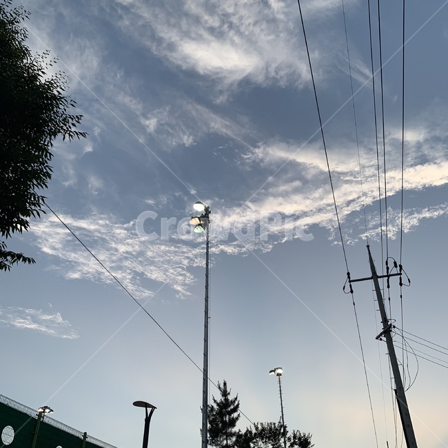 하늘,구름,전봇대,나무,조명,sky,cloud,저녁