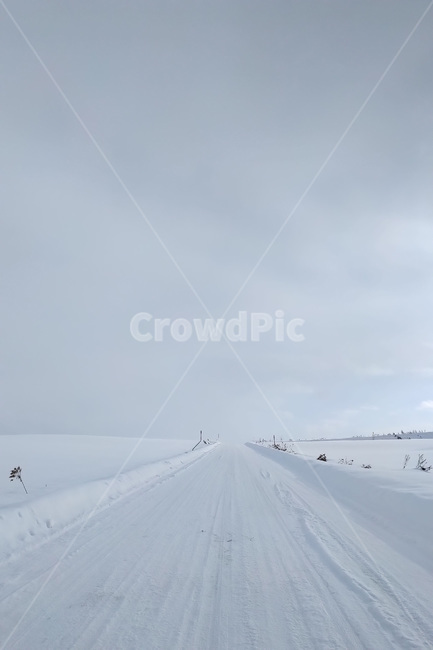 겨울,winter,눈,snow,자연,nature,길,road,겨울,계절,winter,season,자연,풍경,nature,landscape