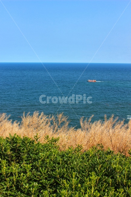 바다,배,갈대,시원,트인,풀,레이어,수평선,horison,layer,자연,풍경,nature,landscape,grass,잔디,plant,식물