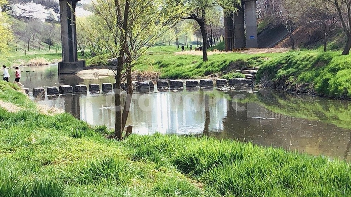 water,물,옥외,자연,사람,자연,풍경,nature,landscape,outdoors