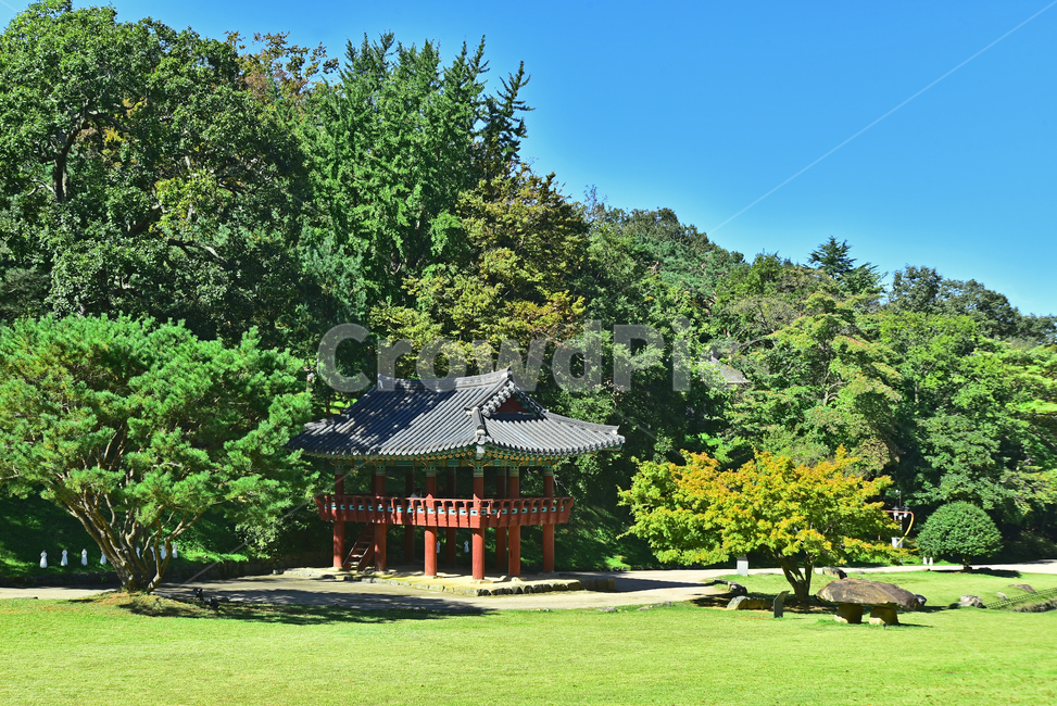 고창읍성,사적제145호로,조선시대,소나무,숲,plant,식물,tree,나무,stonecastle,정자,기와집,한국자연경관,유적지,역사,history,background,배경,바탕,백그라운드,한국전통,한국문화,korean traditional,korean culture