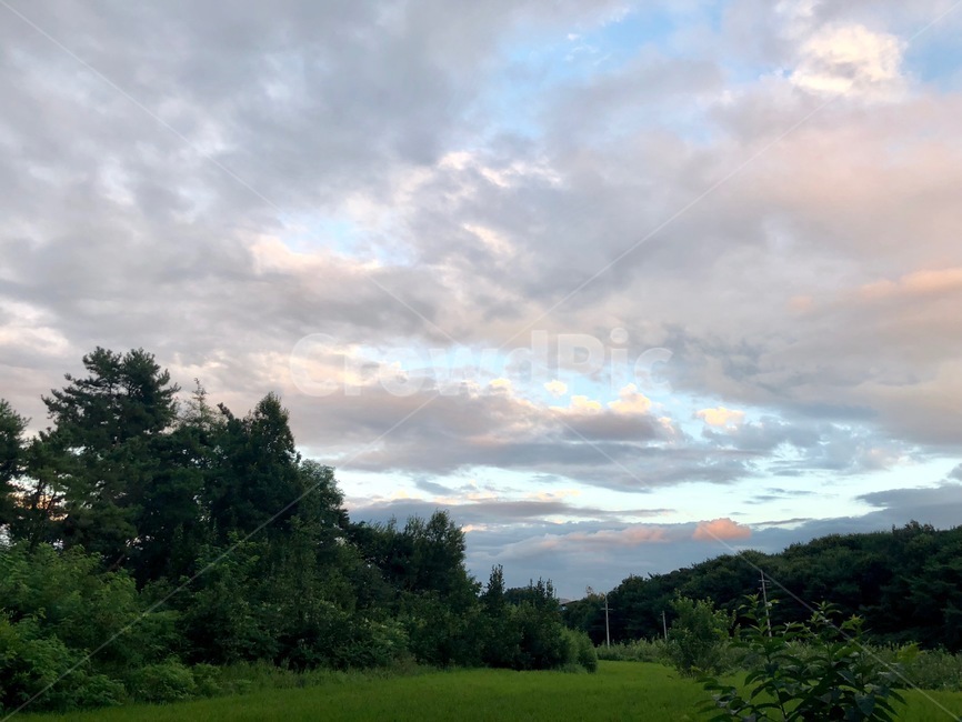 하늘,시골,나무,논,구름,산
