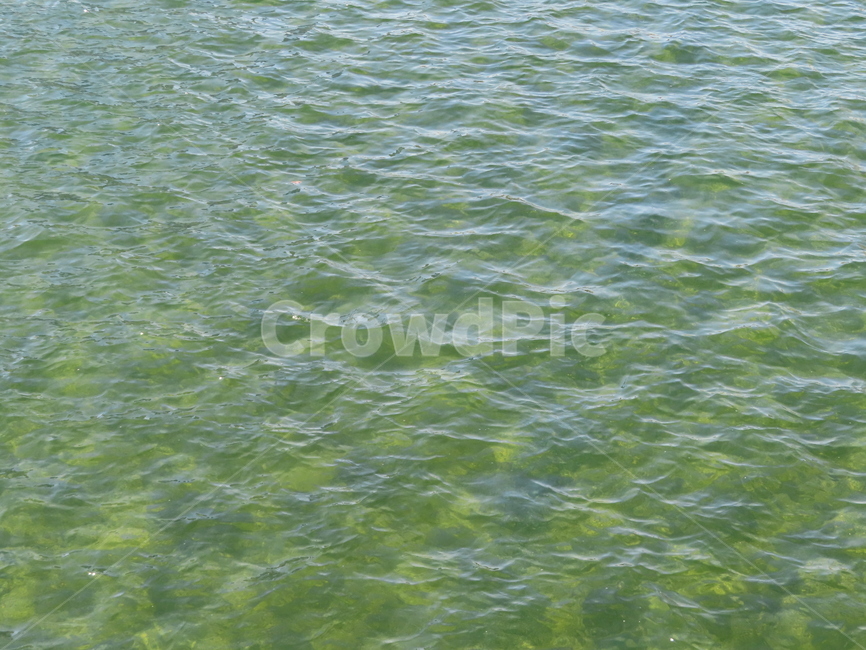 패턴,강,하천,바다,웅덩이,빛,반짝임,맑은,흐르다,햇빛,반사,pattern,river,sea,puddle,light,glitter,clear,flowing,sunlight,reflection,텍스처,질감,패턴,texture,pattern
