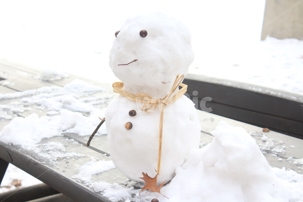 눈사람,겨울,눈,귀여운,작은눈사람,겨울,계절,winter,season