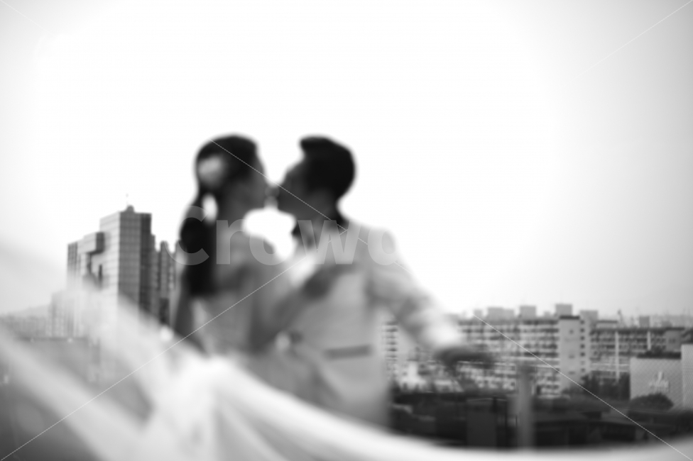 결혼,사랑,웨딩,신랑,신부,커플,사람,인물,인간,human,person,연인,커플,사랑,lover,couple,결혼,혼례,웨딩,wedding,marriage,marry,감정표현,기분,feeling,emotion,인물실루엣,사람실루엣,character silhouette,human silhouette,기념일,축하,anniversary,congratulation,celebrate,celebration,흑백,모노톤,monochrome,black and white