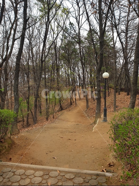 공원,공원가는길,산책로,힐링,감성,자연,환경,나무들,소풍