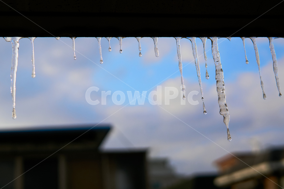 nature,city,winter,ice,cold,downtown,construct,building,spring,Kkot spring cold,Emotion,icicle