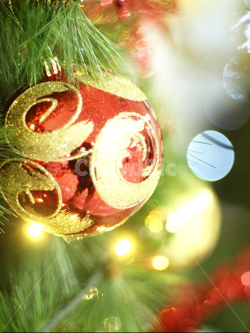 ornament,sphere,christmas tree,tree,christmastree,christmas,decoration