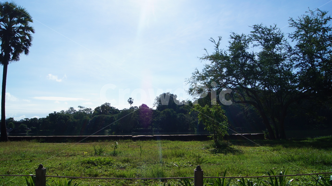 trees,tree,forest,cambodia,sky,blue,cloud,road,park,garden,landscape,green,nature,sun,sunny,sunnyday,나무,하늘,공원,숲,캄보디아,풍경,자연,잔디,해,풀