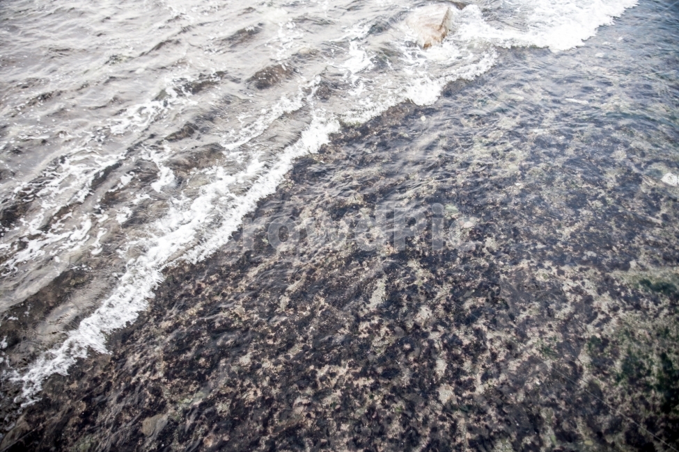 바다,파도,물결,물,텍스쳐,흐름,자연,풍경,nature,landscape