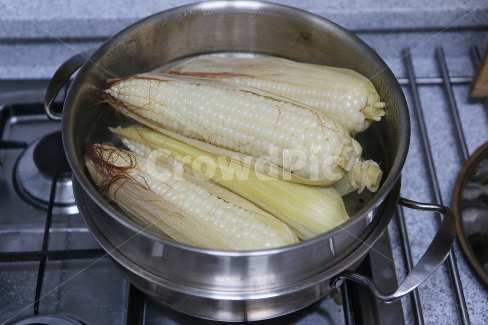옥수수,곡물,식물,조리,요리,간식,여름,푸드,음식,찐,주방,키친,부엌,주방용품,요리도구,kitchen,kitchenware,cookroom,cookingutensil,음식,식재료,요리,food,cook,meal,dishes,food reserves,곡류,곡식,cereals