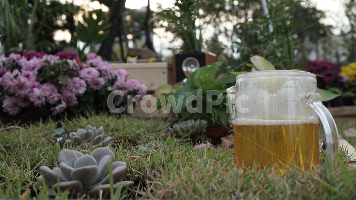glass,유리,마실것,beer,beerglass,알코올,alcohol,맥주,맥주유리,drink,음주