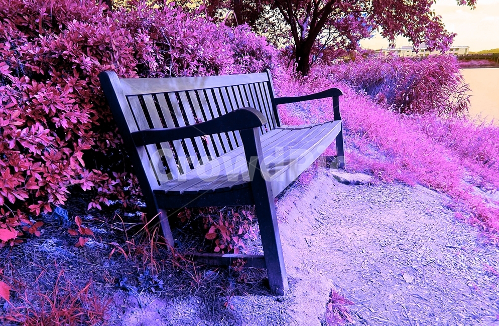 의자,공원의자,나무의자,밴치,원목의자