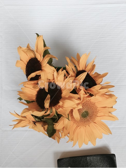 해바라기,화병,꽃,노란색,감성,노랑,sunflower,table,book,note,vase,vivid,sun,꽃다발,테이블,실내
