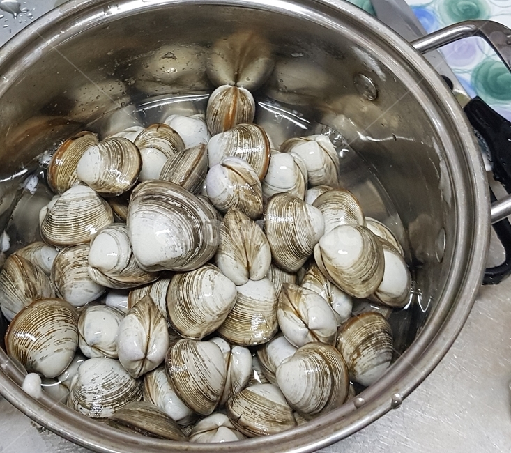 조개,해양생물,동죽,갯벌,바다,음식,food,sealife,clam