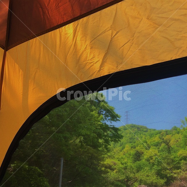 텐트,하늘,나무,tent,tree