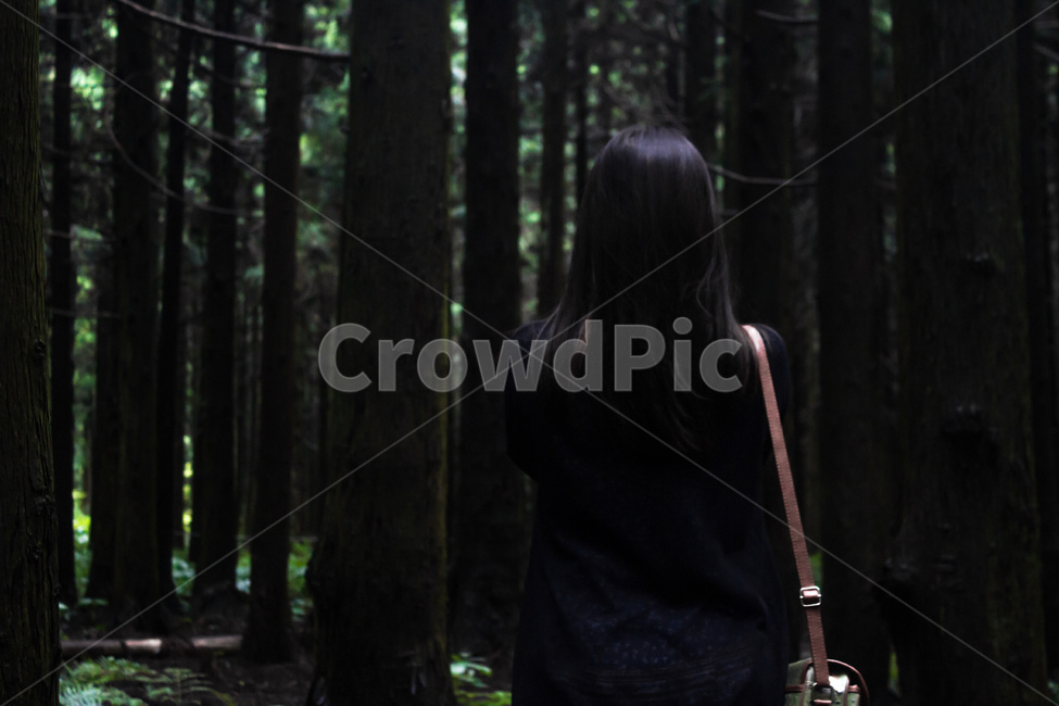 여자,여성,인간,뒷모습,인물,숲길,숲,숲속,나무,풍경,땅,plant,tree,nature,여성,여자,woman,female,lady