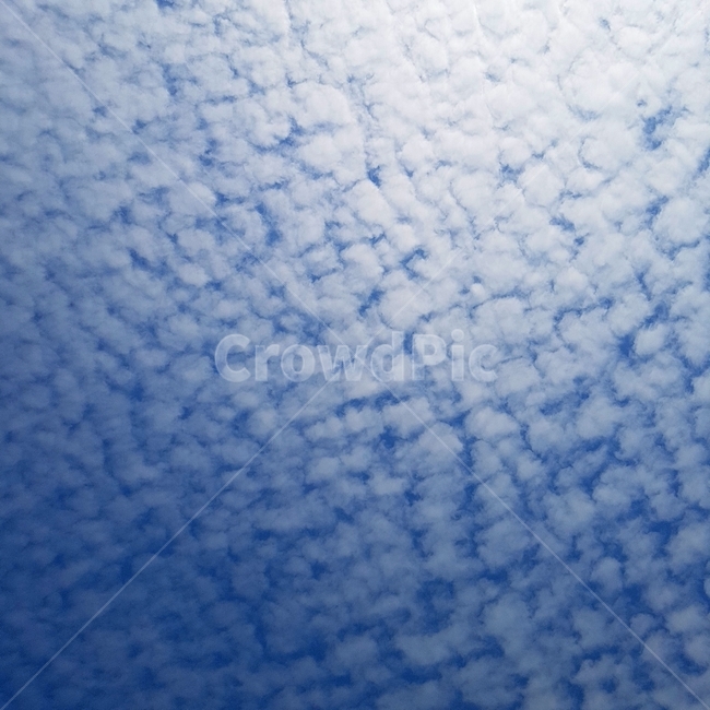 이쁜구름,양때구름,적운,nature,하늘,자연,날씨,구름,sky,cloud,자연,풍경,nature,landscape,outdoors,옥외,weather,cumulus