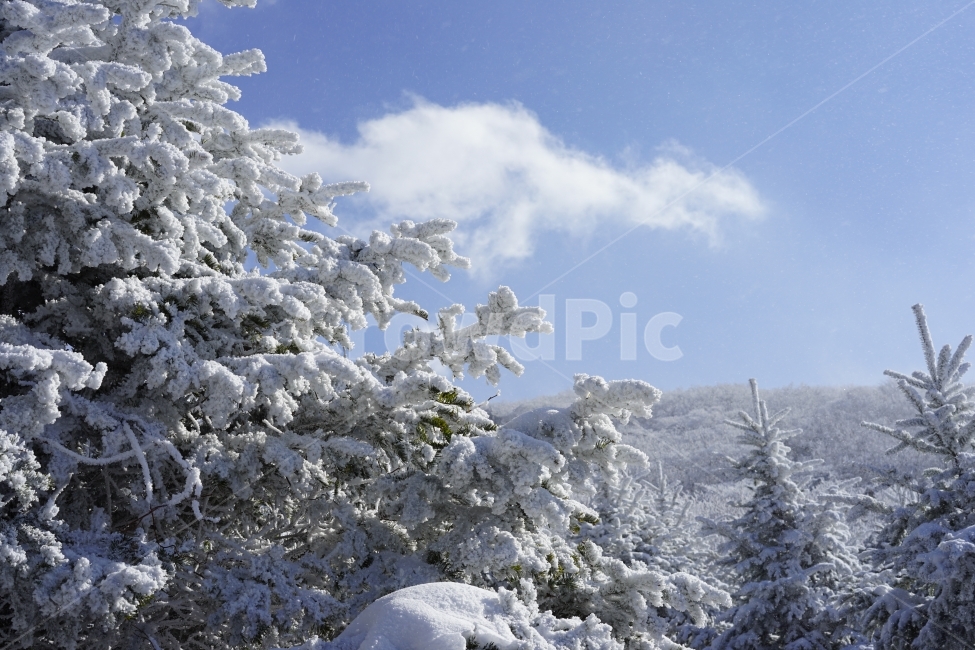 설산,겨울산,눈꽃,상고대,겨울,등산,겨울,계절,winter,season,자연,풍경,nature,landscape,outdoors,옥외,snow,눈