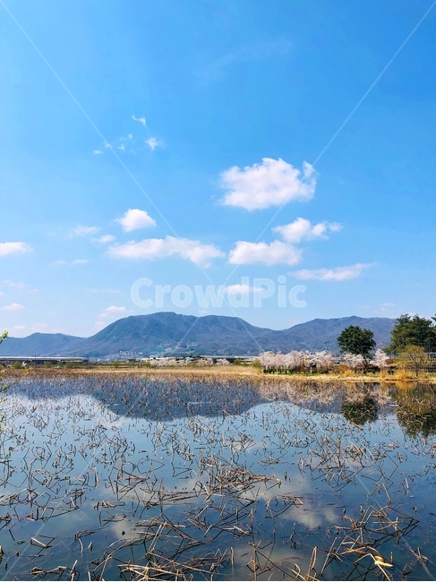 outdoors,옥외,nature,자연,water,물,marsh,습지,저수지,하늘,구름