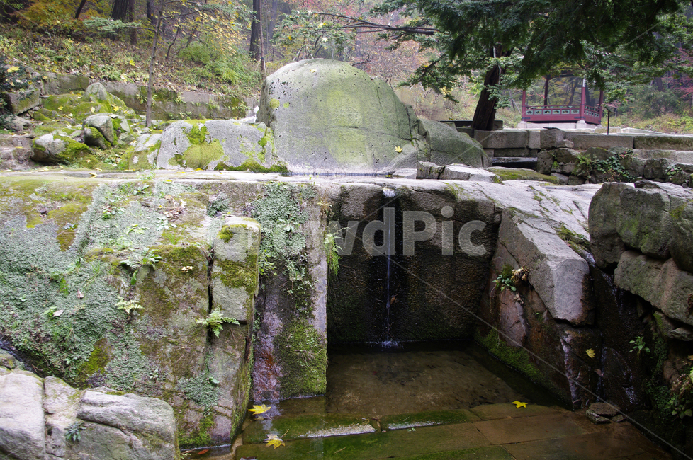 창덕궁후원,옥류천,소요암,식물,plant,자연,nature,바위,자연,풍경,nature,landscape,building,건물,bunker,벙커
